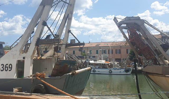 nuova deroga vongole