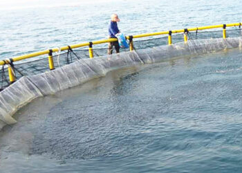 Acquacoltura in Australia