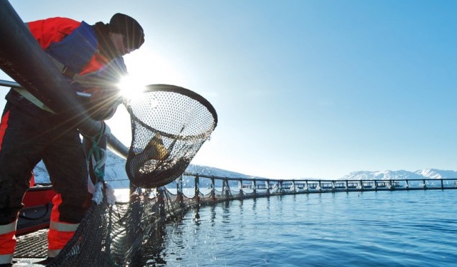 Emissioni degli allevamenti ittici