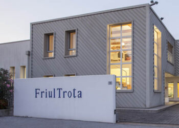Friul Trota