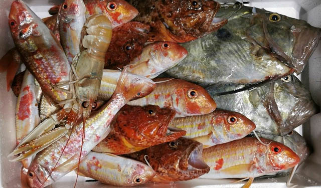 Pesce fresco di stagione