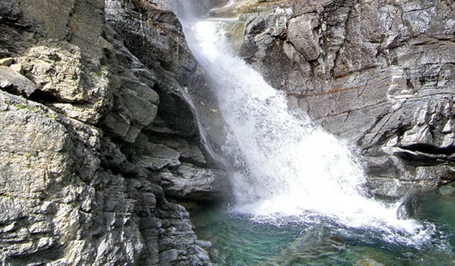 Troticoltura Armanini