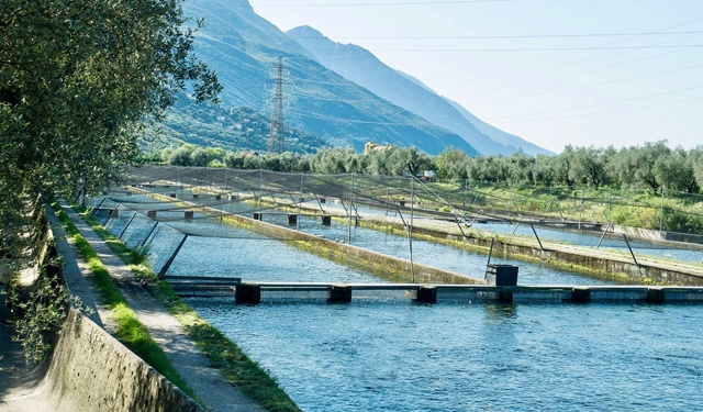 Troticoltura Armanini