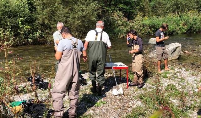 Troticoltura Armanini