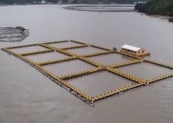 Vietnam espansione acquacoltura