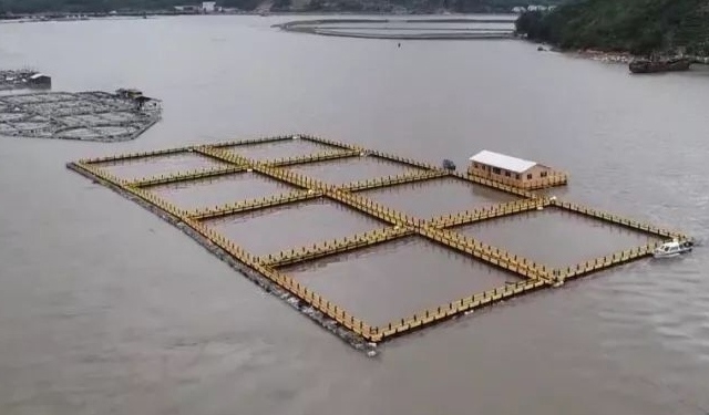 Vietnam espansione acquacoltura