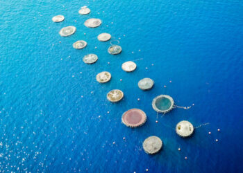 economia blu acquacoltura sostenibile