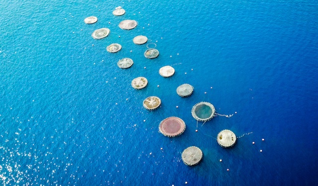 economia blu acquacoltura sostenibile