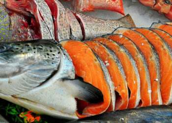 esportatori prodotti ittici norvegesi