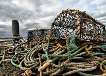 Cisoa pesca: associazioni datoriali incontrano Mipaaf