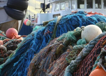 Pesca sostenibile