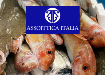 pesce alleato del cuore