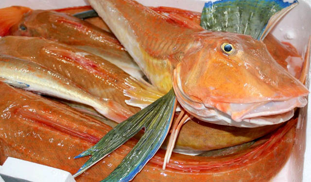 pesce fresco di stagione
