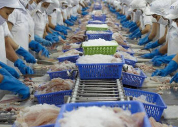 rapporti commerciali Vietnam-USA