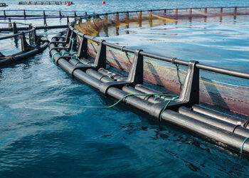 Nuovo centro di formazione per l'acquacoltura in Turchia