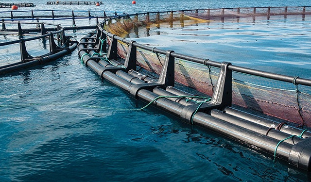 Nuovo centro di formazione per l'acquacoltura in Turchia