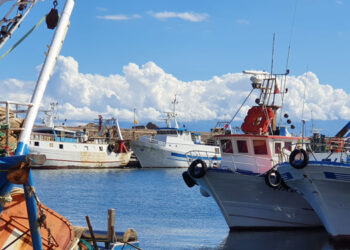 Consultazione Piano d'azione Pesca