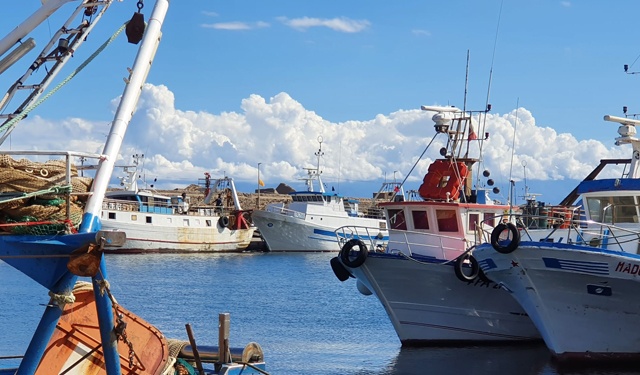 Consultazione Piano d'azione Pesca