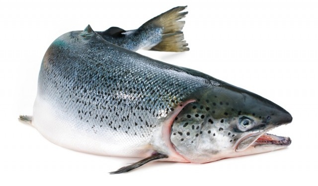 Esportazioni prodotti ittici norvegesi