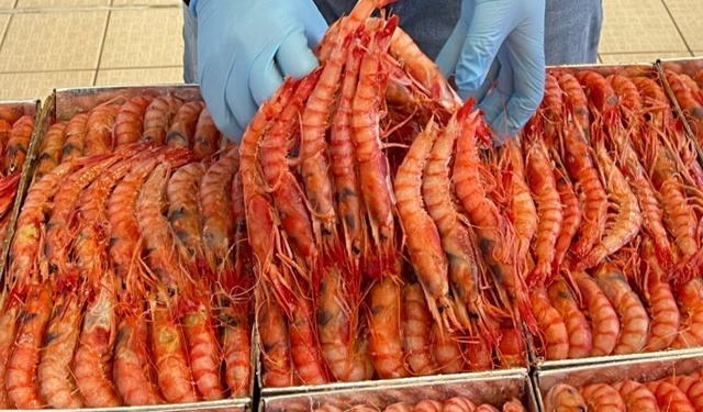 Gambero di profondità