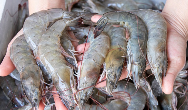 Intensificata la promozione in Cina