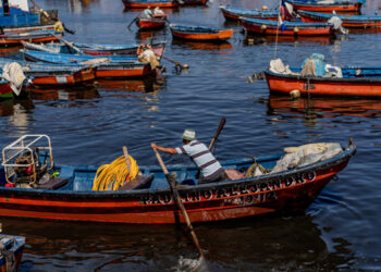 La pesca del pesce spada