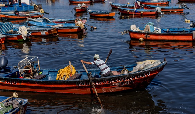 La pesca del pesce spada