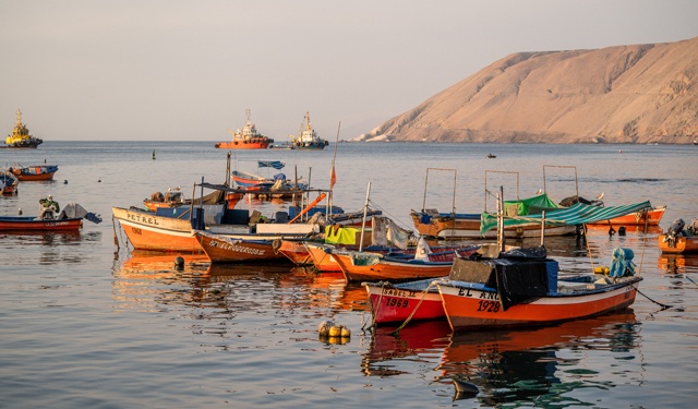 La pesca del pesce spada
