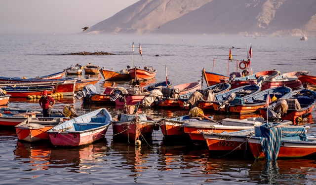 La pesca del pesce spada 