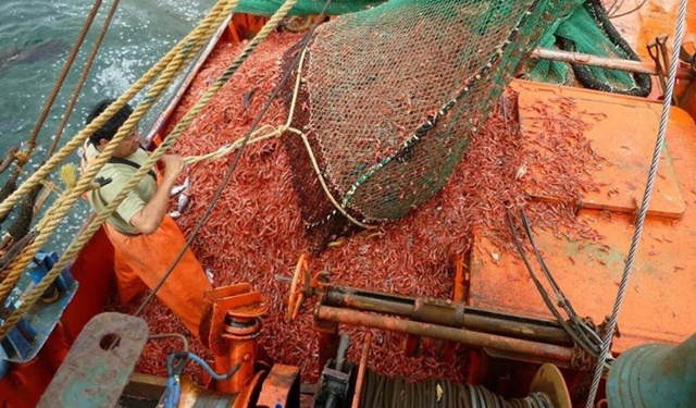 La pesca in Argentina