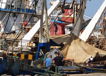 Riforma ammortizzatori