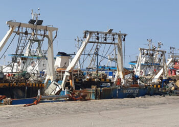 Alleanza Cooperative incalza Orlando su misure d'emergenze e welfare