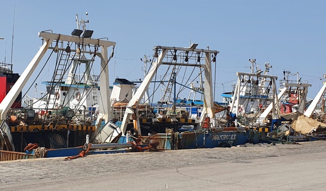 Alleanza Cooperative incalza Orlando su misure d'emergenze e welfare