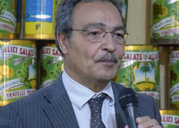 ammortizzatore sociale stabile