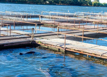 Acquacoltura in Russia