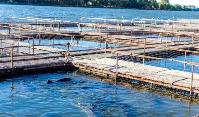 Acquacoltura in Russia