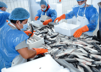 EcoeFISHent, Aqua De Mâ partner