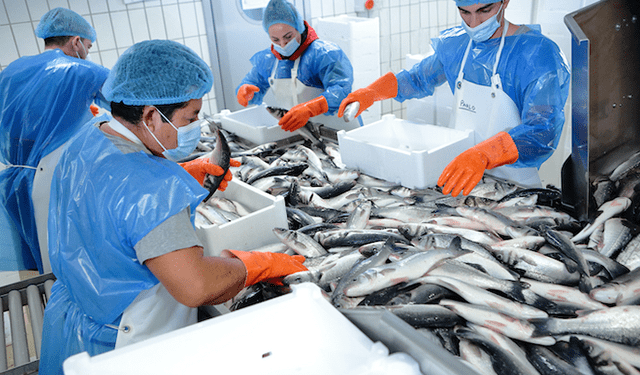 EcoeFISHent, Aqua De Mâ partner