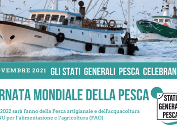 Chioggia si prepara agli Stati Generali della Pesca