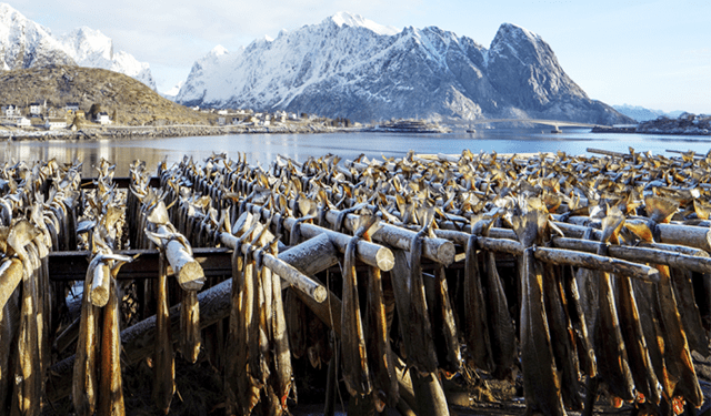 Gli italiani amano il baccalà norvegese