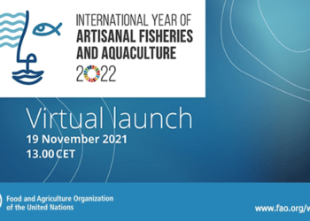 Il 2022 sarà l’Anno Internazionale della Pesca