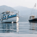 L'Abbate: via libera ai 20 milioni di euro per pesca e acquacoltura