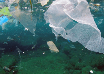 Il Senato approva il Salva Mare