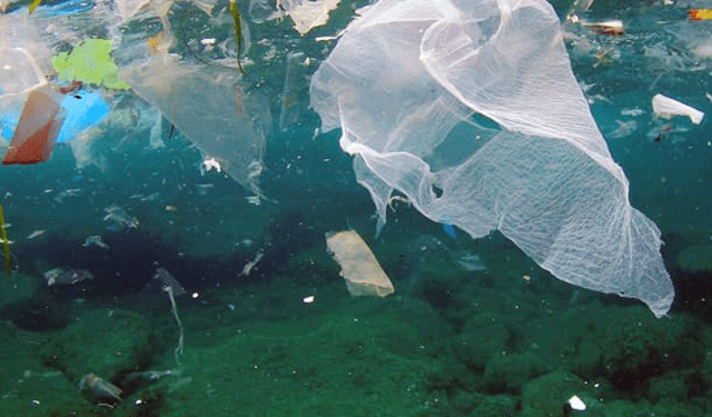 Il Senato approva il Salva Mare