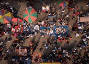 Inaugurato l'Anno Internazionale della Pesca