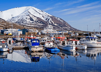 L'Islanda punta sul settore della piscicoltura