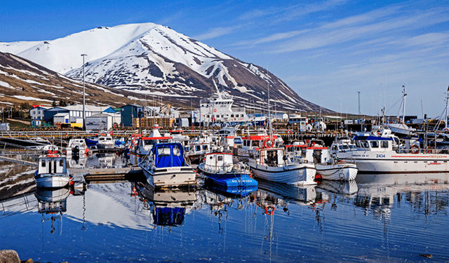 L'Islanda punta sul settore della piscicoltura