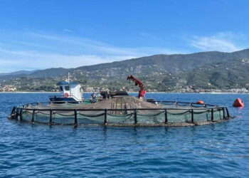 L’acquacoltura italiana