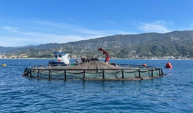 L’acquacoltura italiana