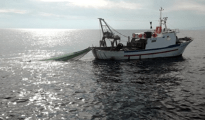 Pesca in Calabria, arrivano i ristori